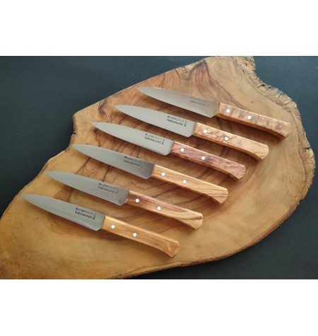 Pack 6 cuchillos mesa punta 
